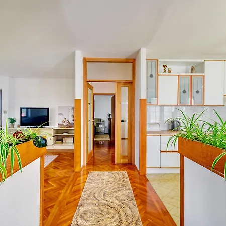 - Ugljan Island Apartman