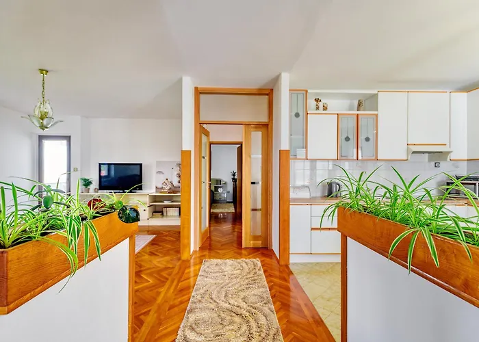 - Ugljan Island 아파트